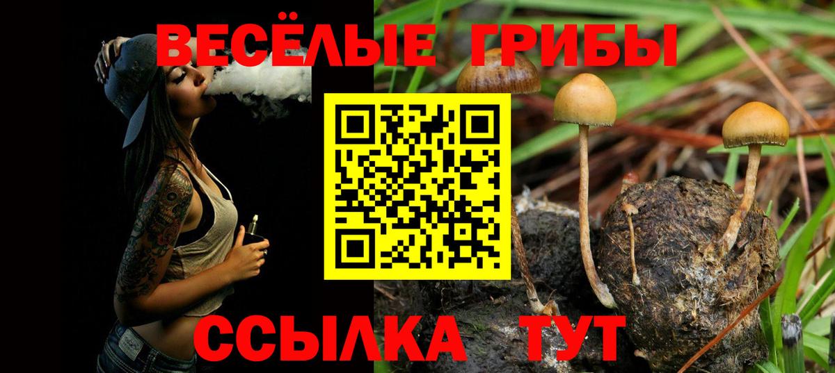 Псилоцибиновые грибы Magic Shrooms  Вход с VPN  Барнаул  Псилоцибиновые грибы Cubensis 